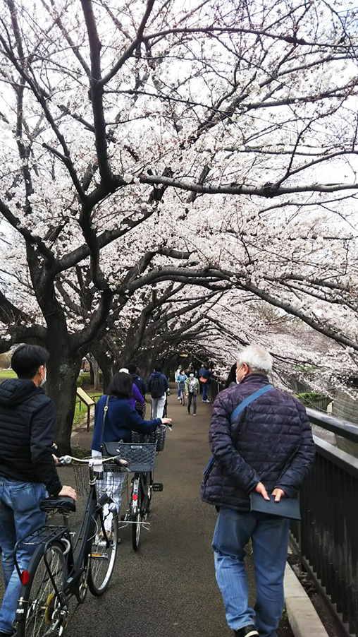 祖師谷公園