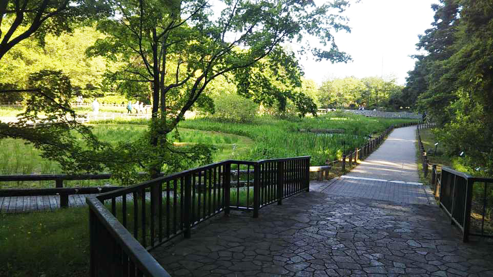 水生植物園