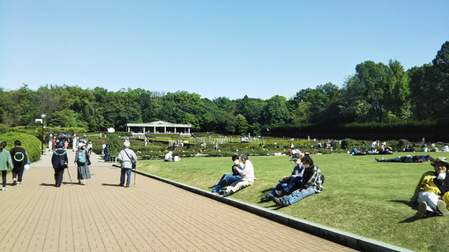 ばら園周辺の広場