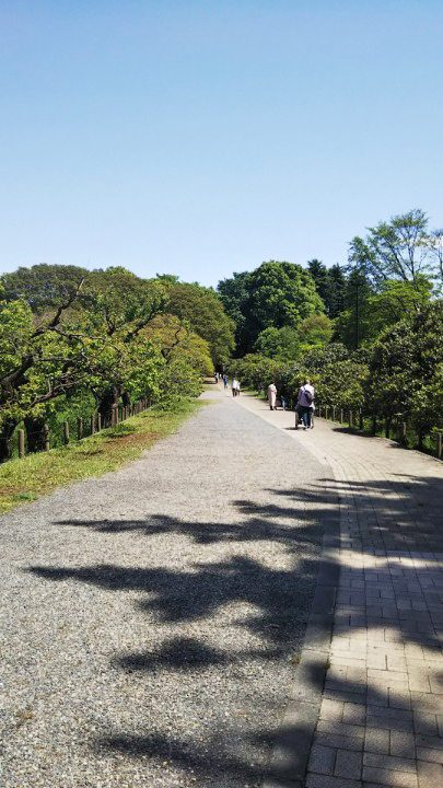 神代小橋を渡った地点