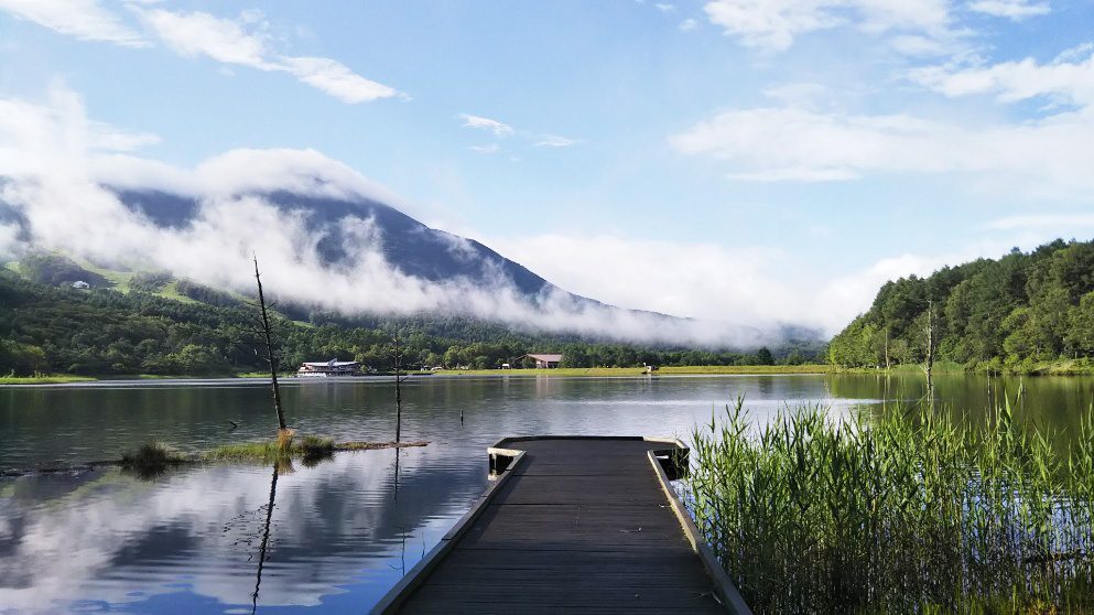 朝の女神湖風景