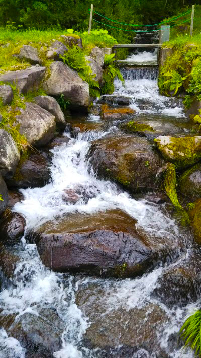 女神湖周辺の小川