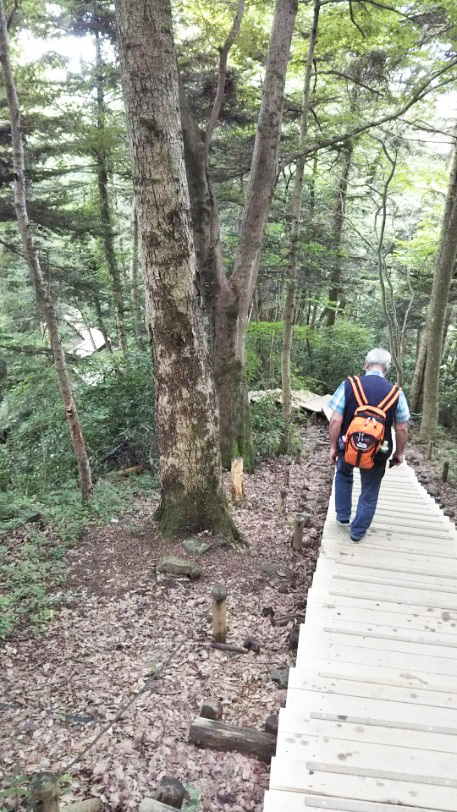 6号路の階段